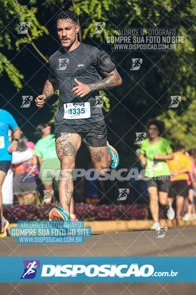 Vale Verde Run 2024