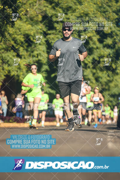 Vale Verde Run 2024