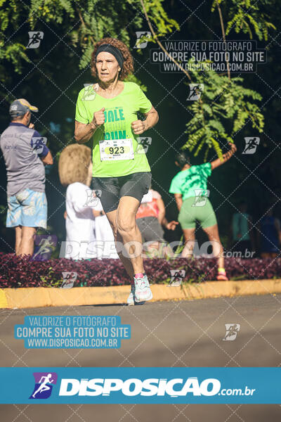 Vale Verde Run 2024