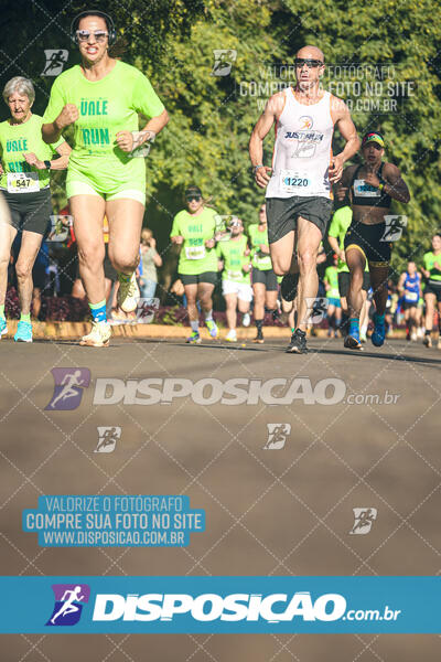 Vale Verde Run 2024