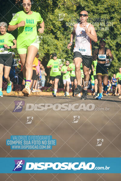 Vale Verde Run 2024