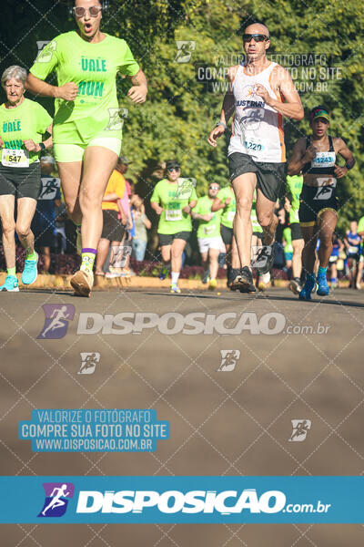 Vale Verde Run 2024