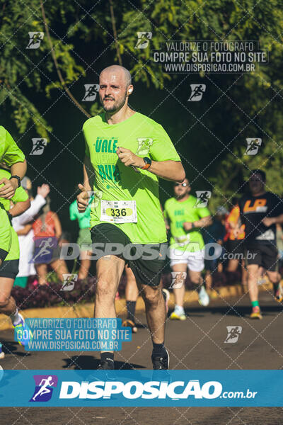 Vale Verde Run 2024