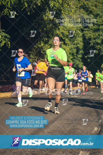 Vale Verde Run 2024