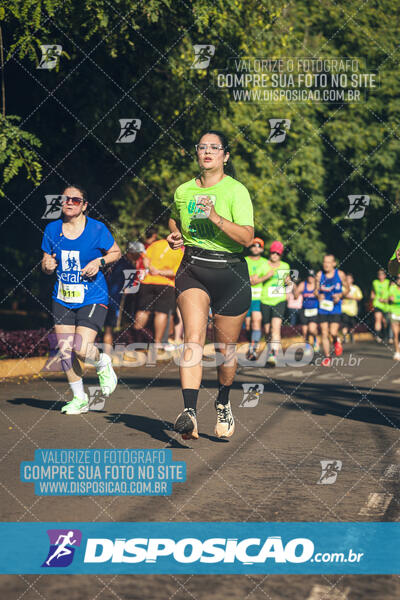 Vale Verde Run 2024