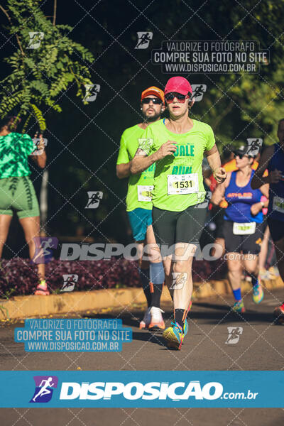 Vale Verde Run 2024