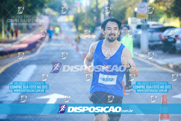 Vale Verde Run 2024