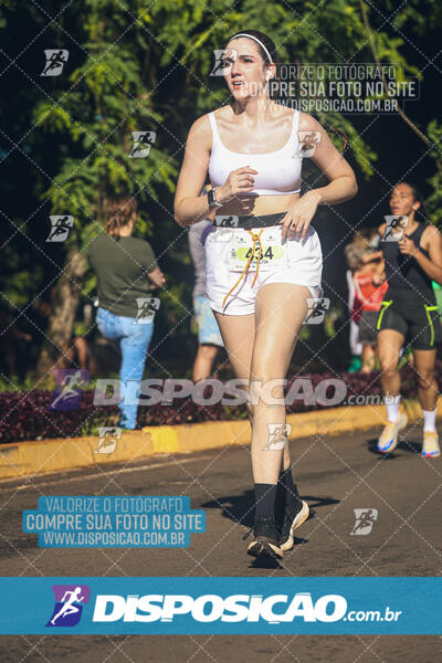 Vale Verde Run 2024