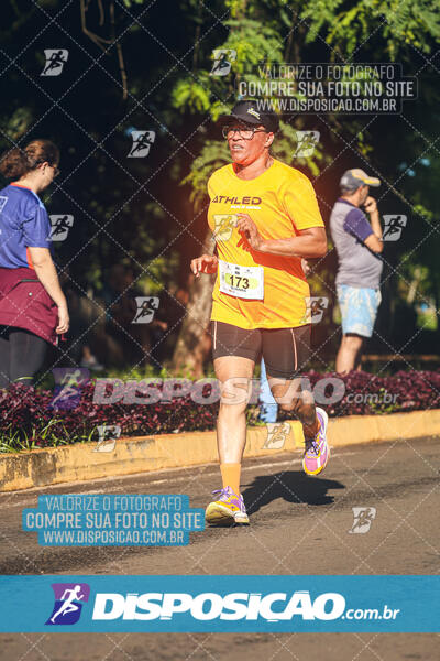 Vale Verde Run 2024