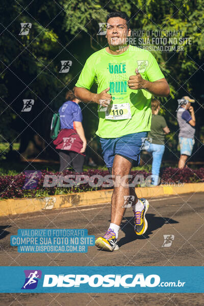 Vale Verde Run 2024