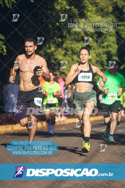 Vale Verde Run 2024