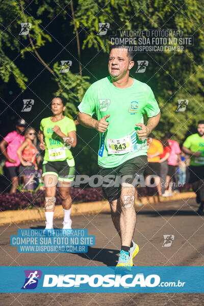 Vale Verde Run 2024