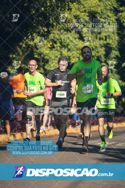 Vale Verde Run 2024