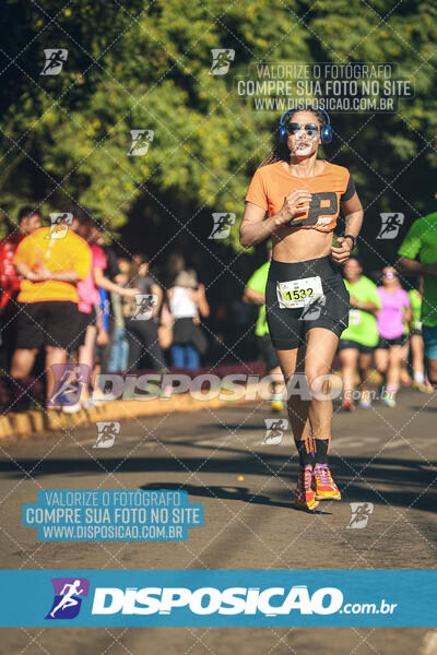 Vale Verde Run 2024