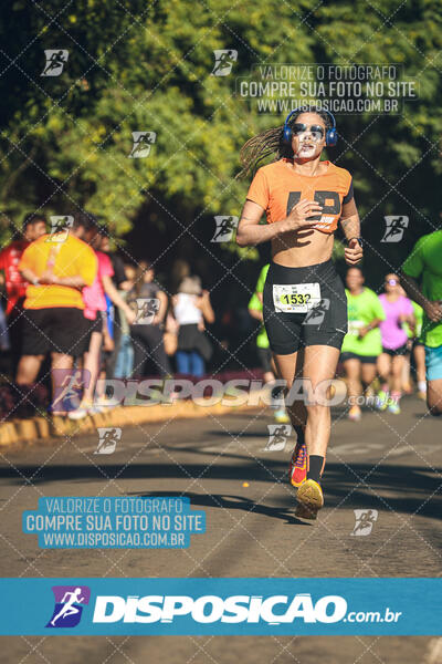 Vale Verde Run 2024