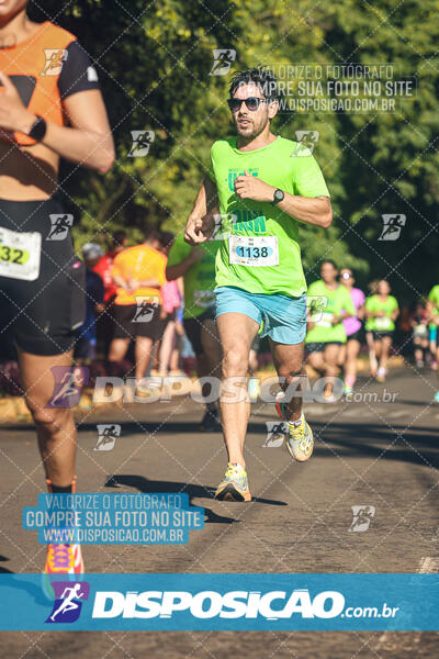 Vale Verde Run 2024