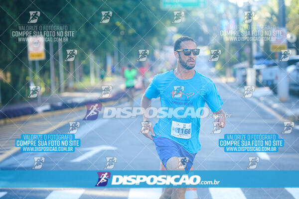 Vale Verde Run 2024