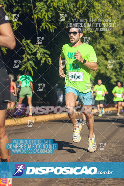 Vale Verde Run 2024