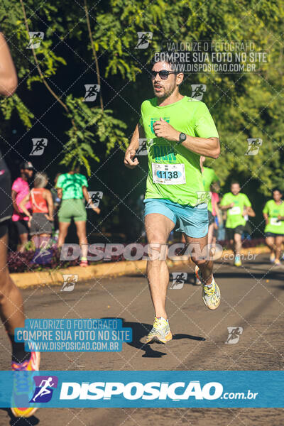 Vale Verde Run 2024