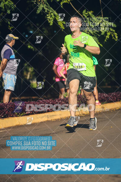 Vale Verde Run 2024