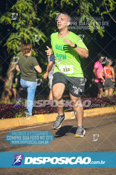 Vale Verde Run 2024