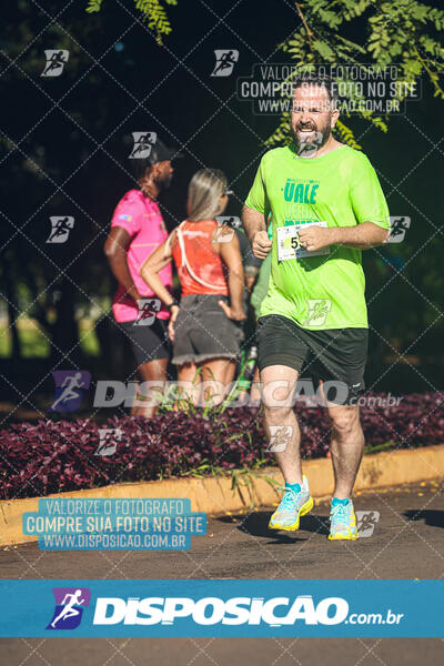 Vale Verde Run 2024