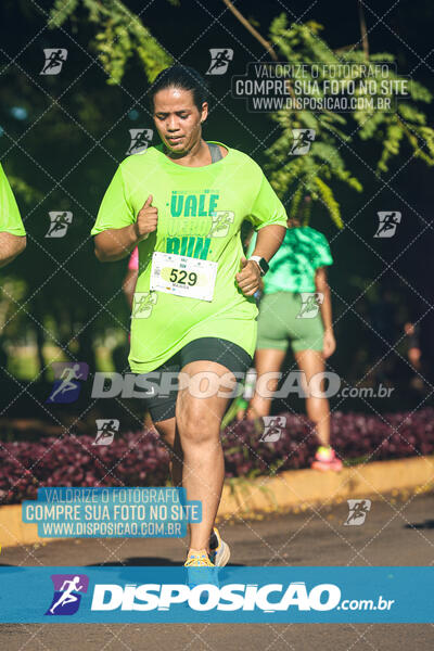 Vale Verde Run 2024