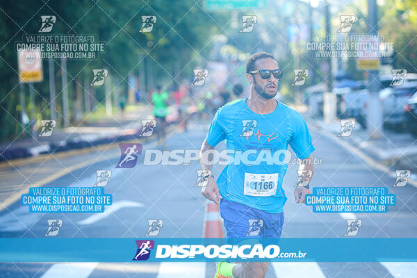 Vale Verde Run 2024