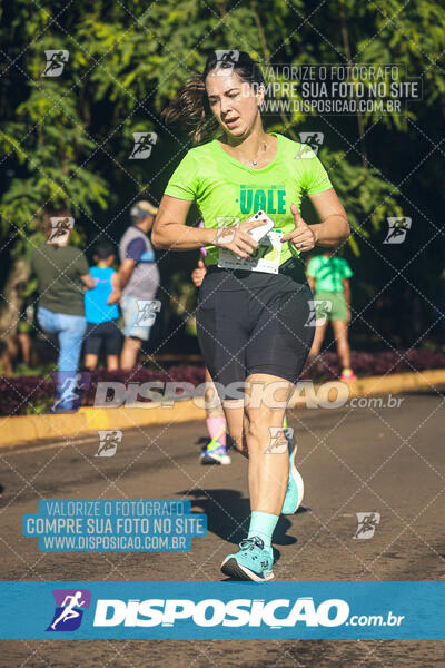 Vale Verde Run 2024