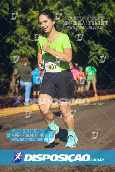 Vale Verde Run 2024