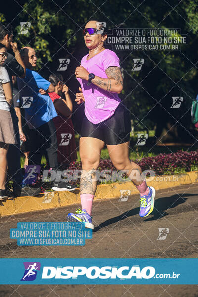 Vale Verde Run 2024