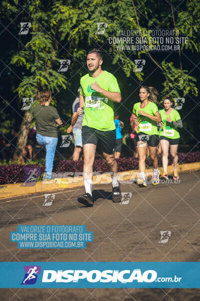 Vale Verde Run 2024