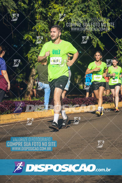 Vale Verde Run 2024