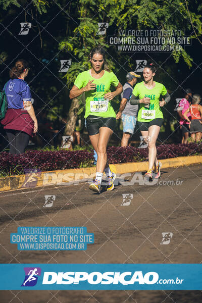 Vale Verde Run 2024