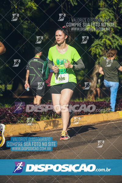 Vale Verde Run 2024