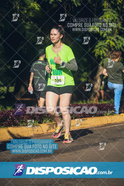 Vale Verde Run 2024