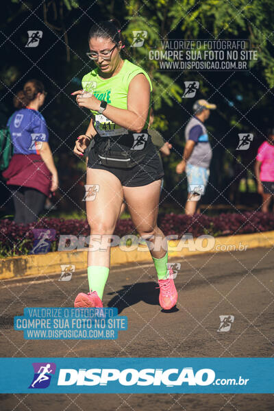 Vale Verde Run 2024