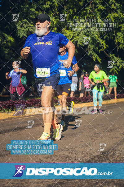 Vale Verde Run 2024