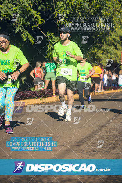 Vale Verde Run 2024