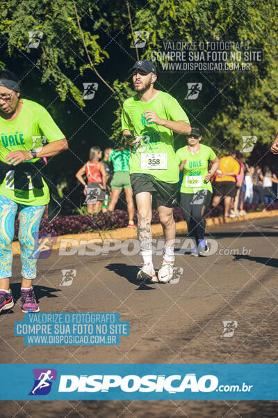 Vale Verde Run 2024