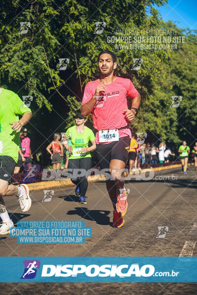 Vale Verde Run 2024