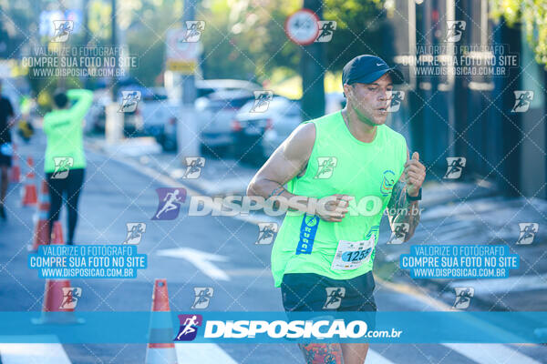 Vale Verde Run 2024