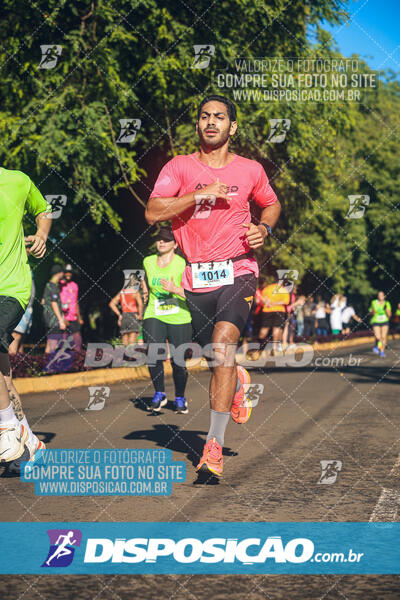 Vale Verde Run 2024