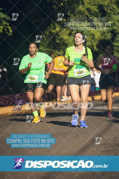 Vale Verde Run 2024