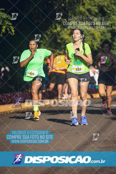 Vale Verde Run 2024