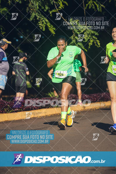 Vale Verde Run 2024