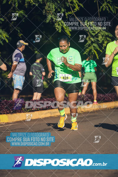 Vale Verde Run 2024