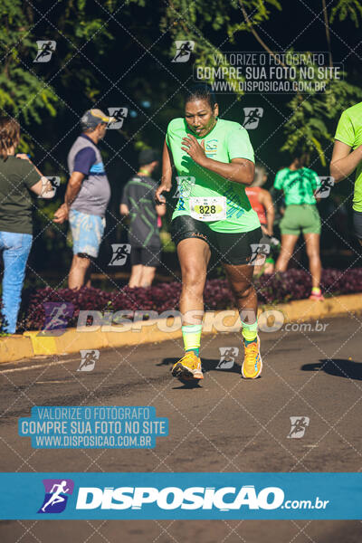 Vale Verde Run 2024