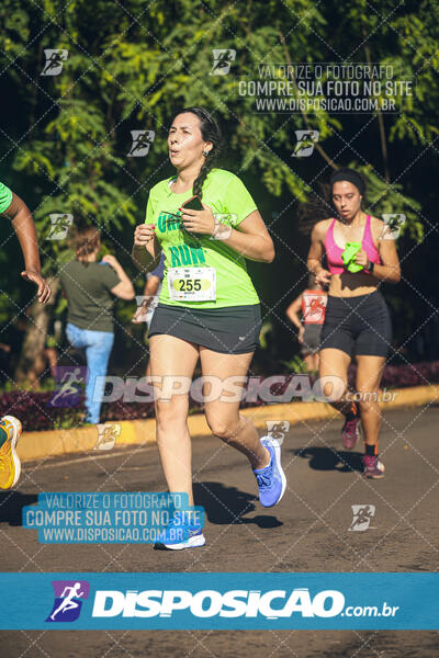 Vale Verde Run 2024