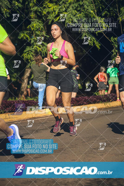 Vale Verde Run 2024